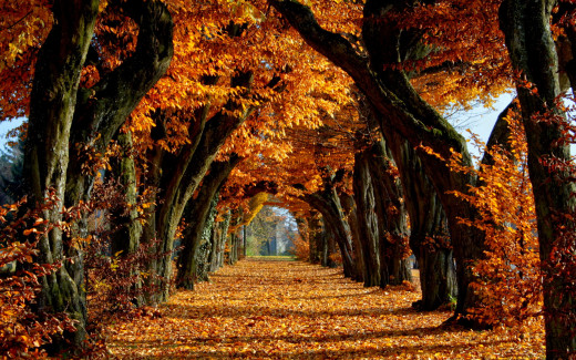 602679 (a): :2560x1600